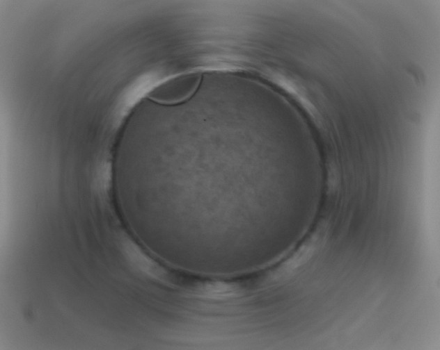 X0000114691459200910211302