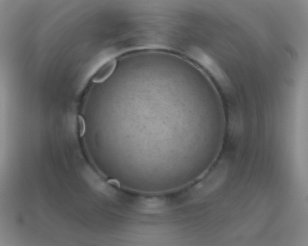 X0000114691460200910211302