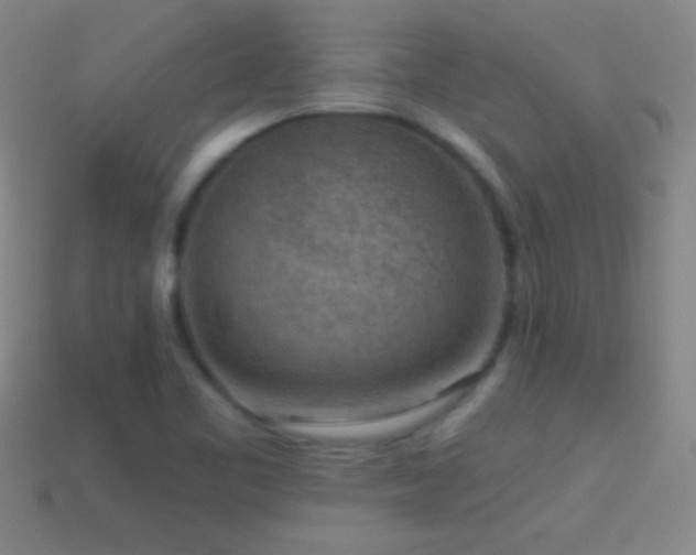 X0000114691461200910211302