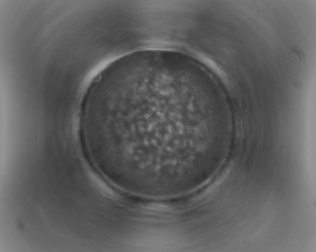 X0000114691463200910211302