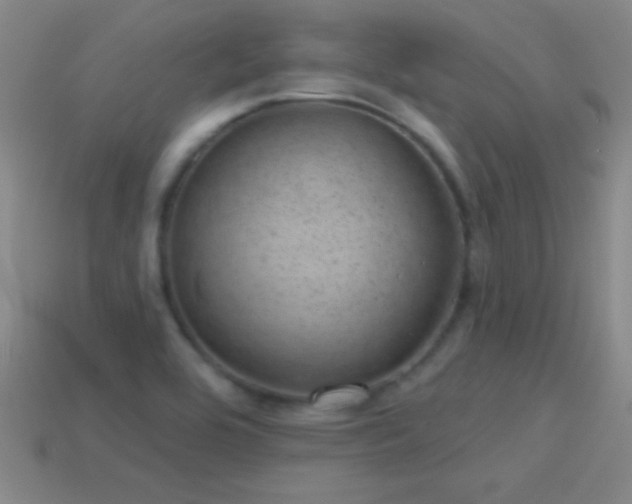 X0000114691464200910211302