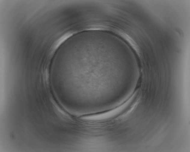 X0000114691465200910211302