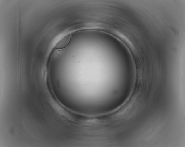 X0000114691467200910211302