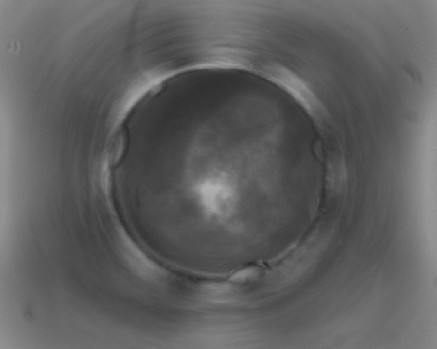 X0000114691468200910211302
