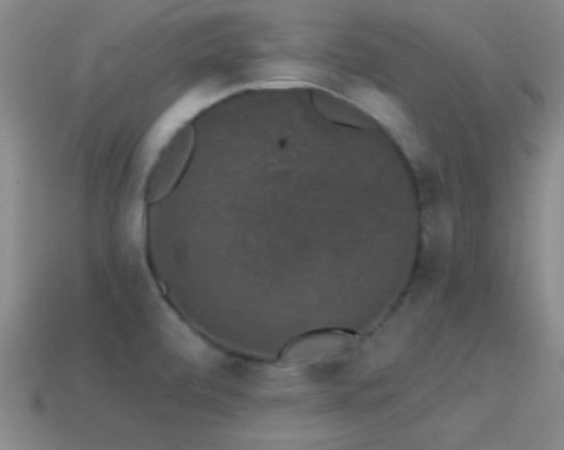 X0000114691472200910211302