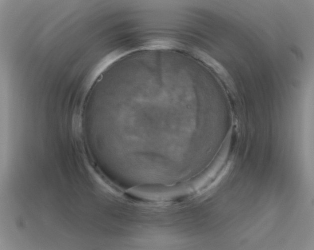 X0000114691473200910211302