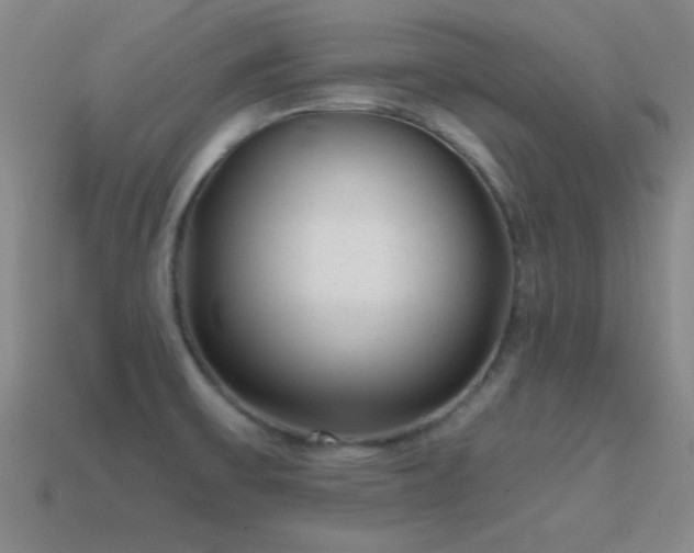 X0000114691475200910211302