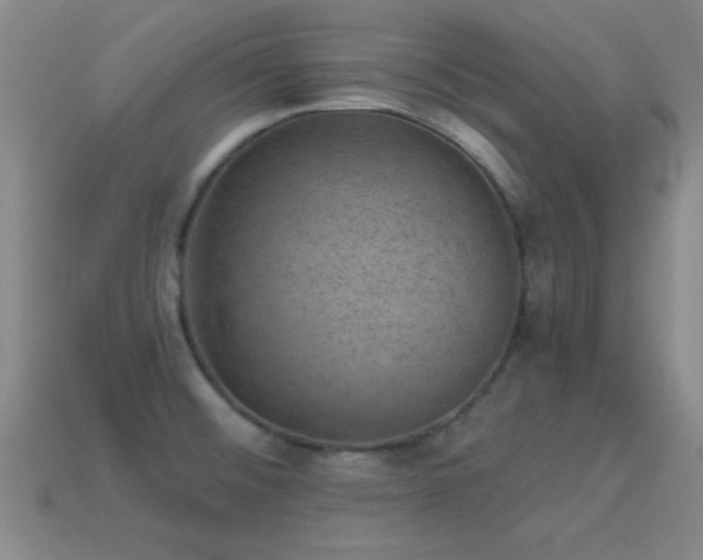 X0000114691476200910211302