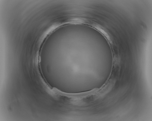 X0000114691477200910211302