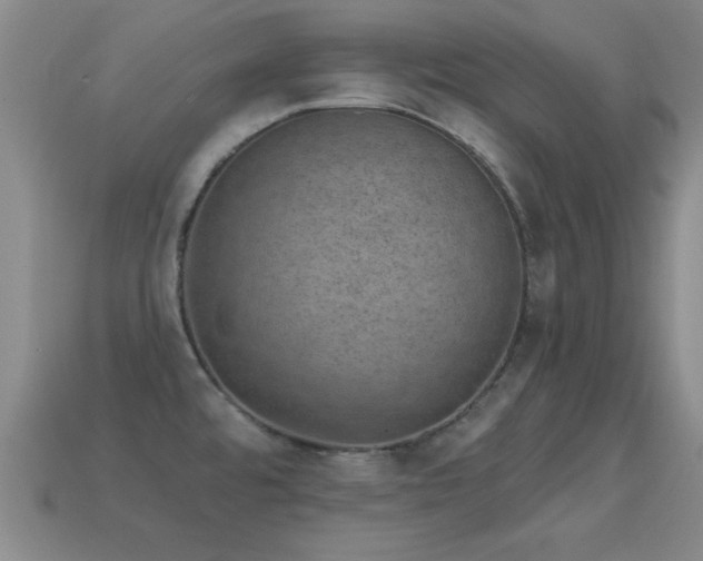 X0000114691480200910211302