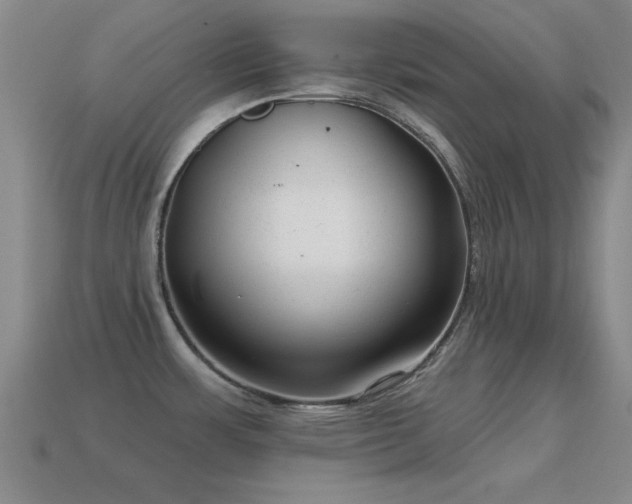 X0000114691483200910211302