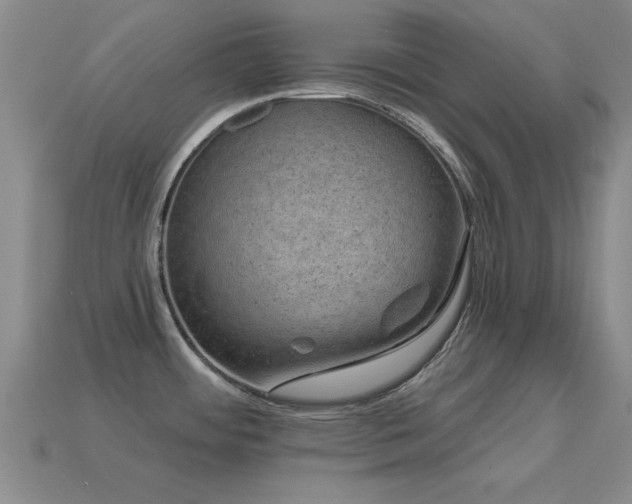 X0000114691484200910211302