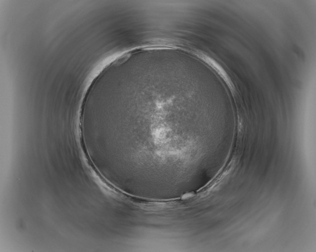 X0000114691485200910211302