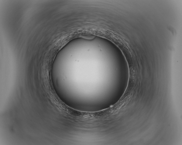 X0000114691489200910211301