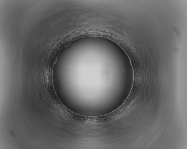 X0000114691490200910211301