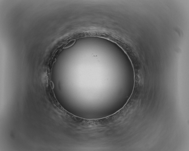X0000114691493200910211301