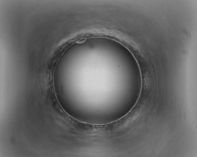 X0000114691494200910211301