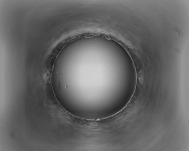 X0000114691495200910211301