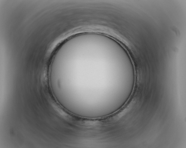 X0000114691498200910211301