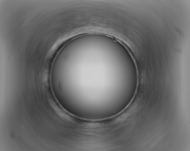 X0000114691499200910211301