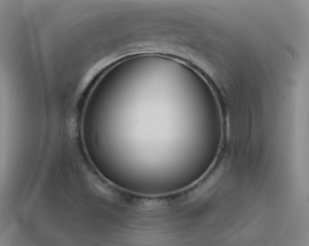 X0000114691501200910211301