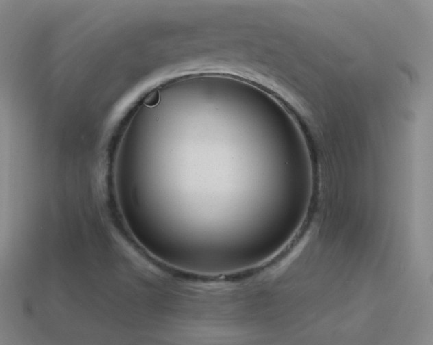 X0000114691502200910211301
