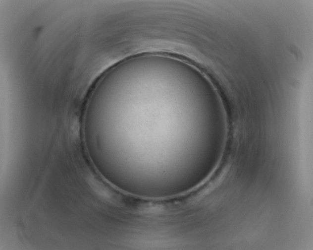 X0000114691505200910211302