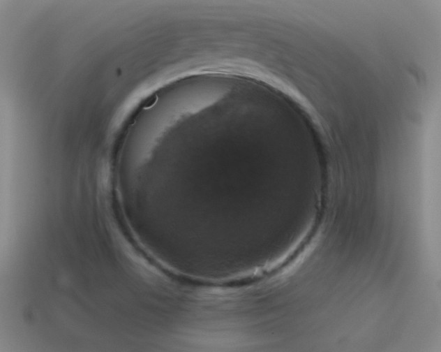 X0000114691506200910211302