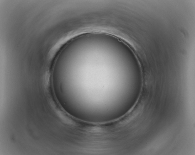 X0000114691507200910211302