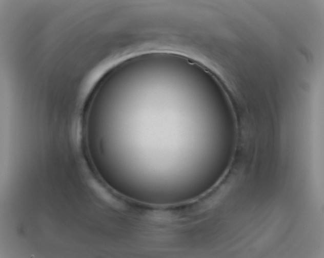 X0000114691511200910211302