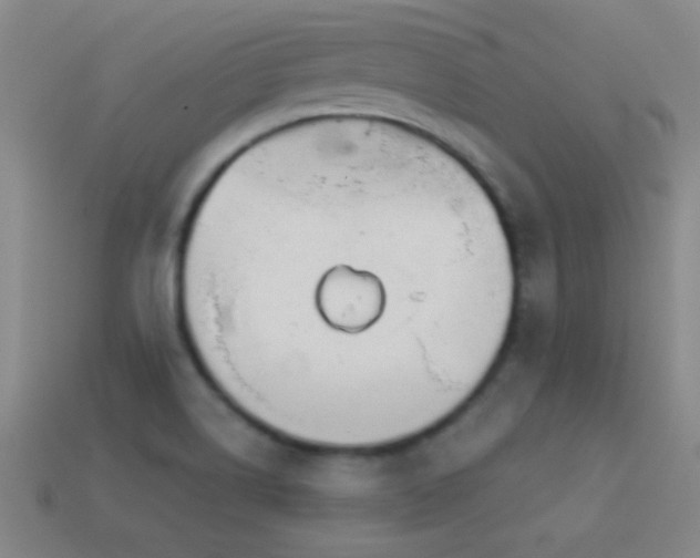 X0000114691514200910211302