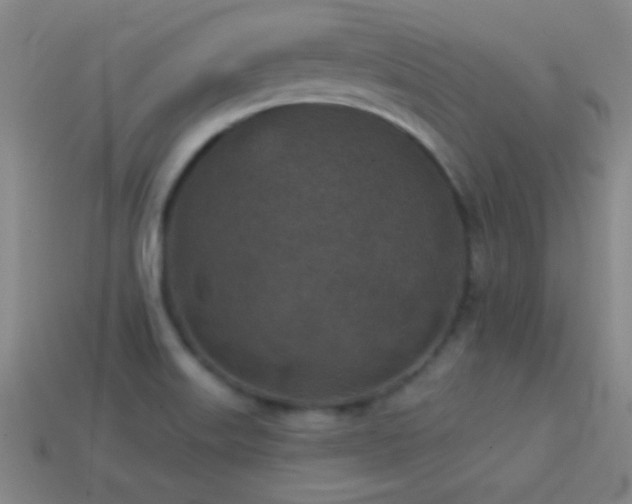 X0000114691515200910211302