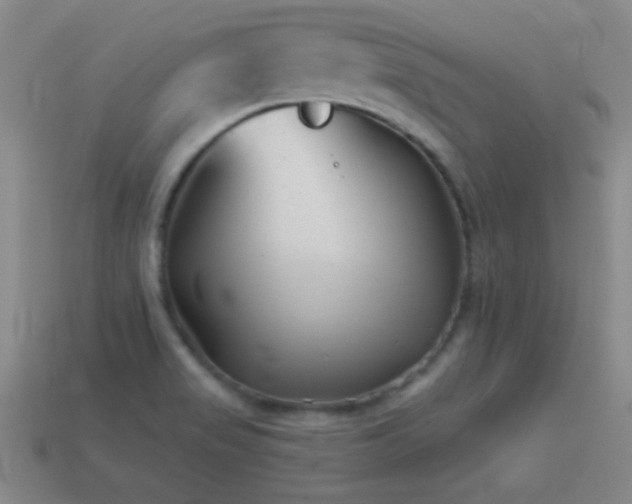 X0000114691517200910211302