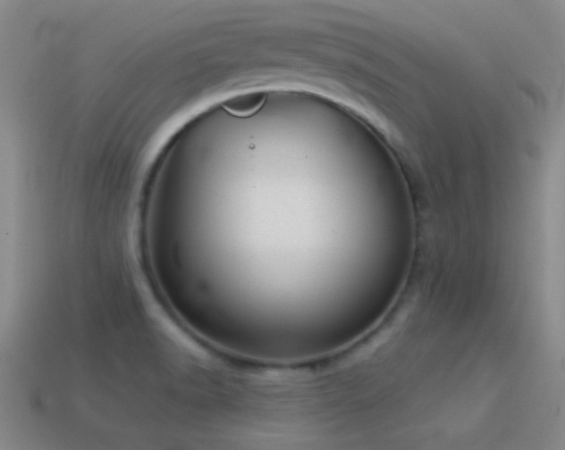 X0000114691518200910211302