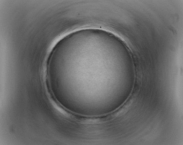 X0000114691519200910211302