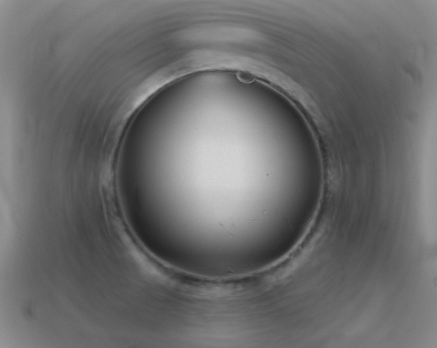 X0000114691521200910211302