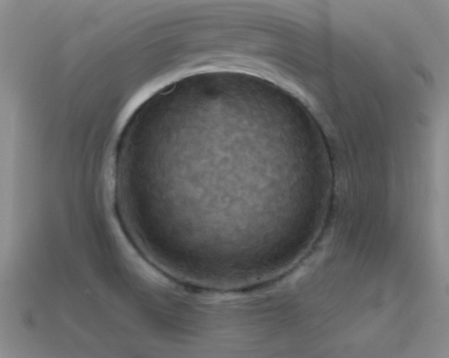 X0000114691522200910211302