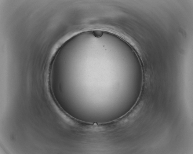 X0000114691525200910211302