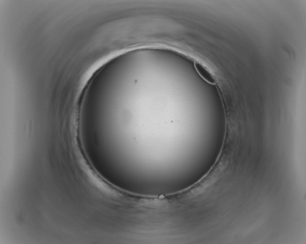 X0000114691526200910211302