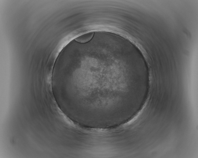 X0000114691529200910211302