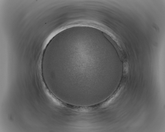 X0000114691530200910211302