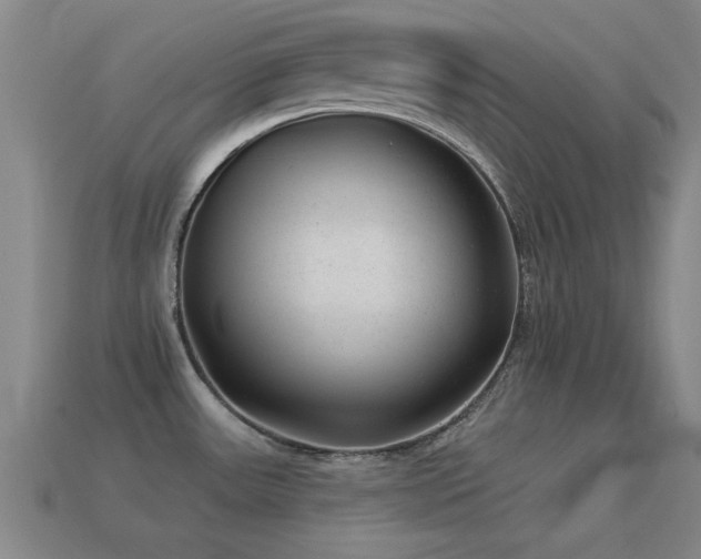 X0000114691531200910211302
