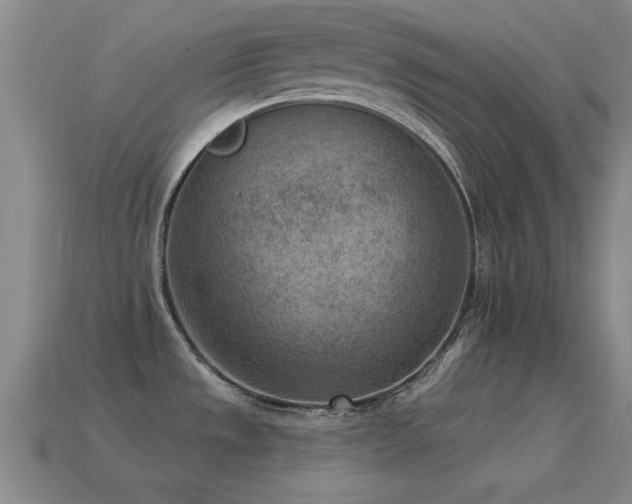 X0000114691533200910211302