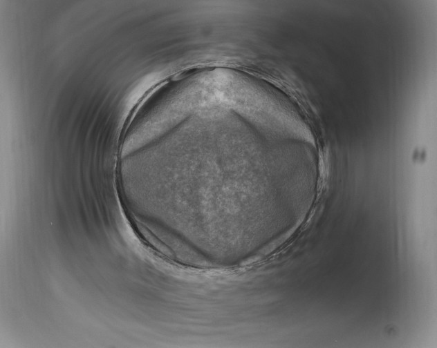 X0000114690003200911121528