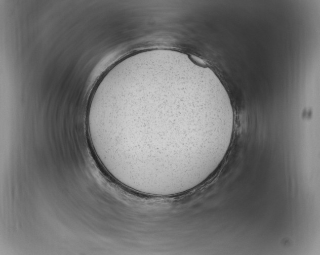 X0000114690004200911121528