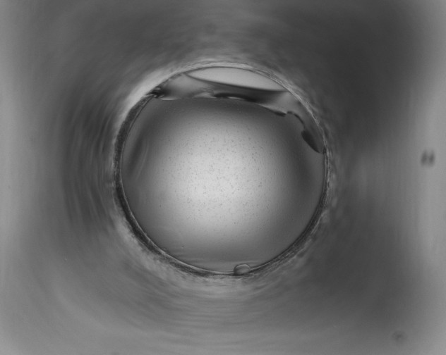 X0000114690008200911121528