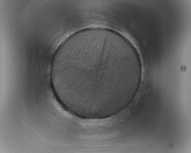 X0000114690009200911121528