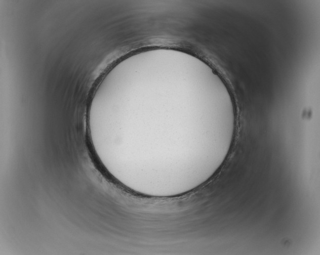 X0000114690011200911121528