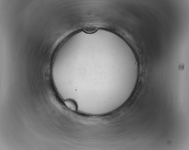 X0000114690012200911121528