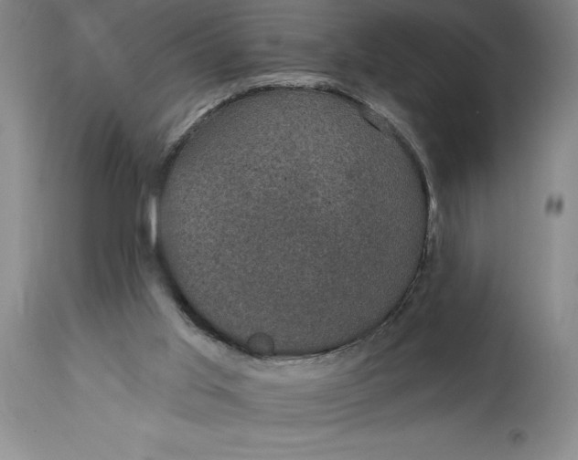 X0000114690013200911121528